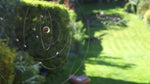 Flensted Decorative Mobiles, Niels Bohr Atom Model