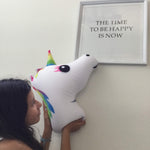 unicorn microbead pillow, iscream pillow, unicorn soft pillow, unicorn head, unicorn