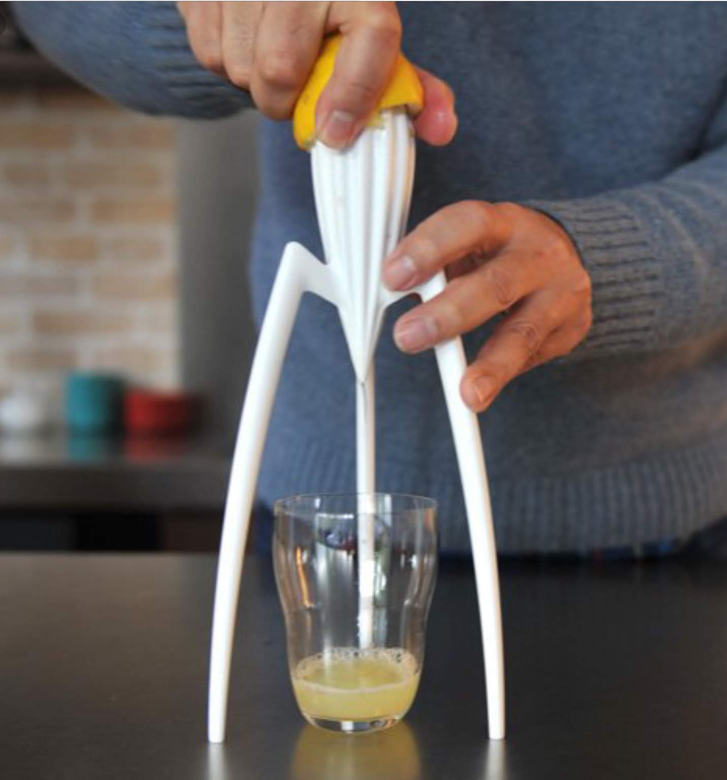 Alessi Juicy Salif