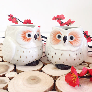 owl mugs