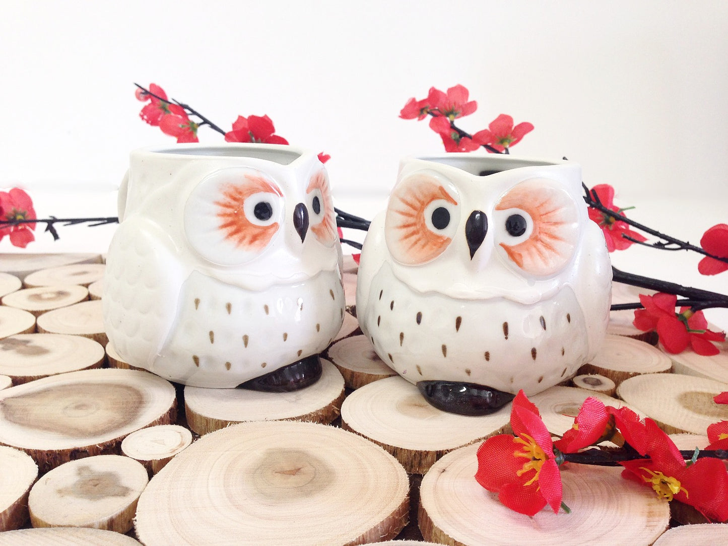 owl mugs